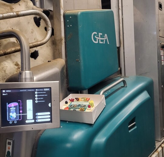 WhatsApp Image 2026-01-15 at 09.03.42