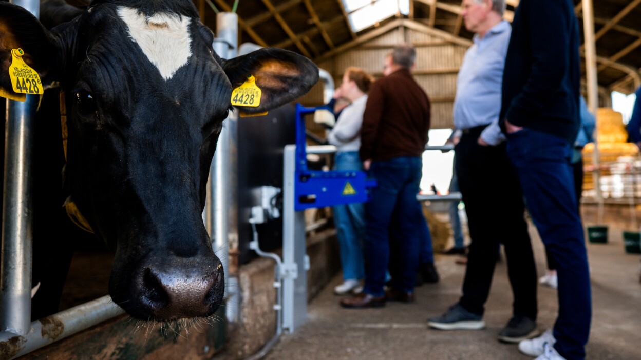 RelatiedagFarmonie_LindaBouritiusPhotography-248