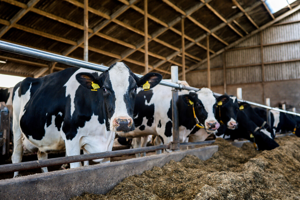 RelatiedagFarmonie_LindaBouritiusPhotography-208