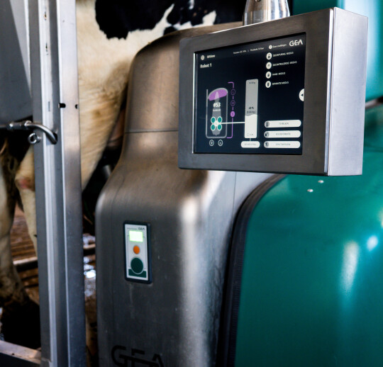 RelatiedagFarmonie_LindaBouritiusPhotography-224