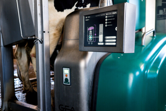 RelatiedagFarmonie_LindaBouritiusPhotography-224