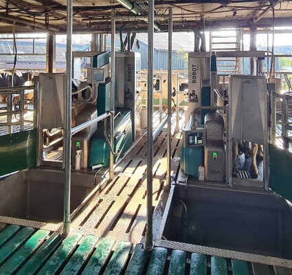 GEA melkrobot - Doornenbal