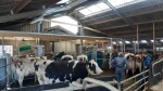 Afbeelding van WhatsApp op 2024-09-24 om 11.21.16_7fd9065e
