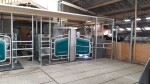 IMG-20240924-WA0012