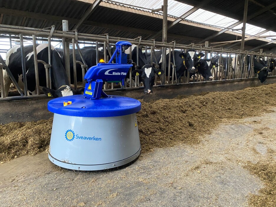 WhatsApp Image 2025-12-19 at 13.10.36