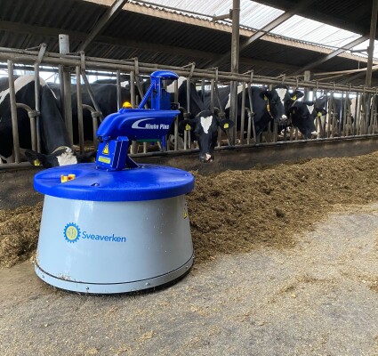 WhatsApp Image 2025-12-19 at 13.10.36