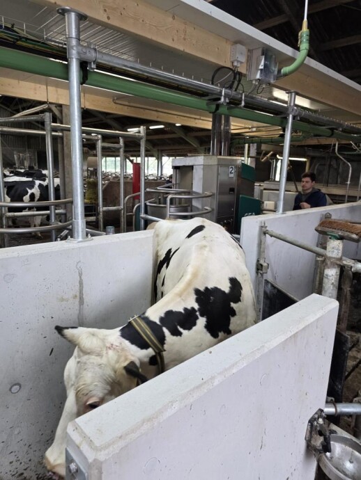 DairyRobot GEA R9500