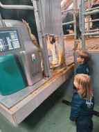 GEA dairyrobot - van gaal - farmonie-2