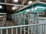 GEA dairyrobot - van gaal - farmonie-4