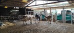 IMG-20250728-WA0034