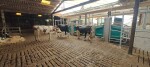 IMG-20250728-WA0040