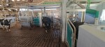 IMG-20250513-WA0009