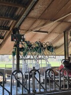 Cowtoilet hanskam (3)