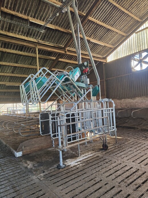 Cowtoilet hanskam (5)