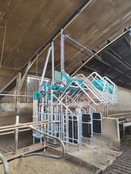 Cowtoilet hanskam (6)