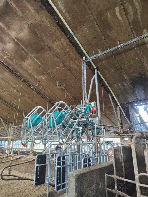 Cowtoilet hanskam (7)