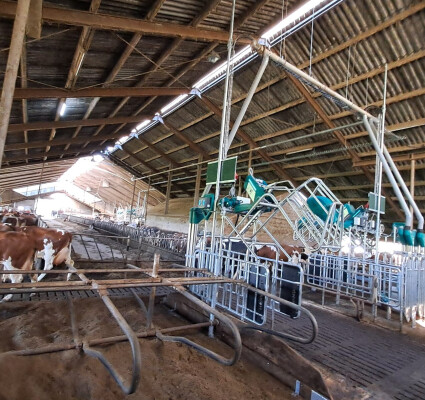 hanskamp maalderink cowtoilet.jpg