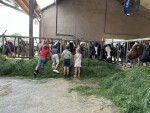 IMG_9258