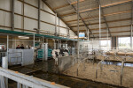 Open dag Van de Brake & Spronk-68
