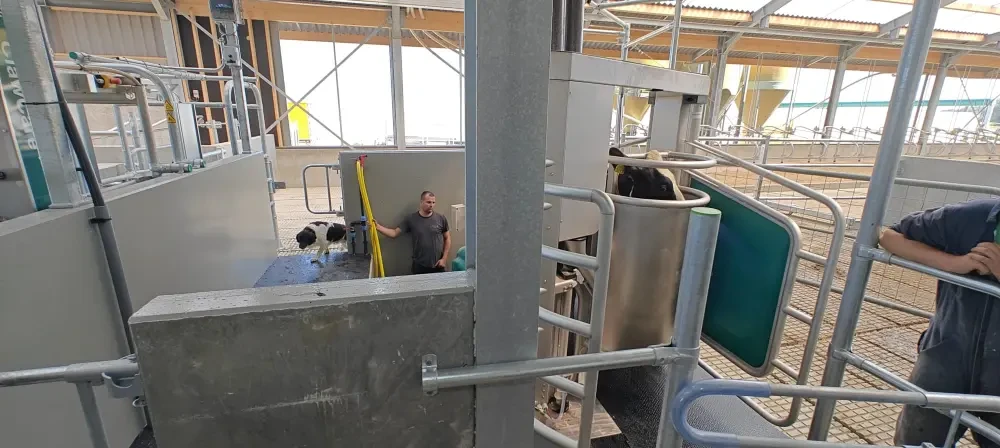 IMG-20250730-WA0005.webp
