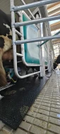 IMG-20250730-WA0013.webp