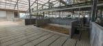 IMG-20250730-WA0035.webp
