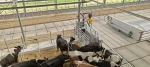 IMG-20250730-WA0044.webp