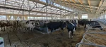 IMG-20250730-WA0063.webp