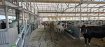 IMG-20250730-WA0064.webp