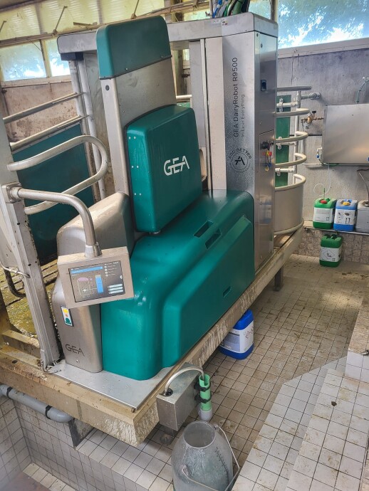 WhatsApp Image 2025-05-22 at 16.02.17