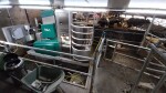 IMG-20241017-WA0022