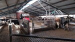IMG-20241017-WA0025