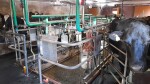 IMG-20241017-WA0028
