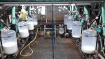 IMG-20241017-WA0029