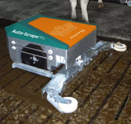 Afbeelding4