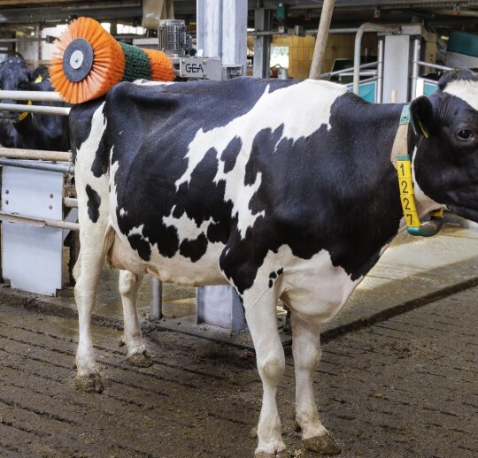 WhatsApp Image 2025-10-02 at 11.53.21.jpeg