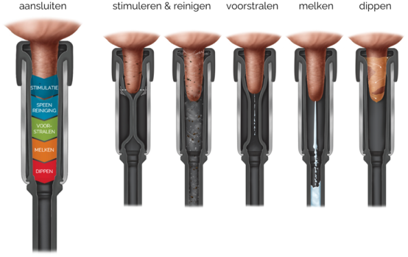 Alles in één beker.png