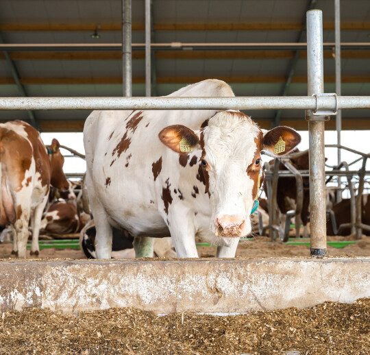 FFW-_z6f2956-bedrijfsreportage-LR-125