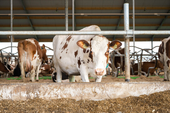 FFW-_z6f2956-bedrijfsreportage-LR-125