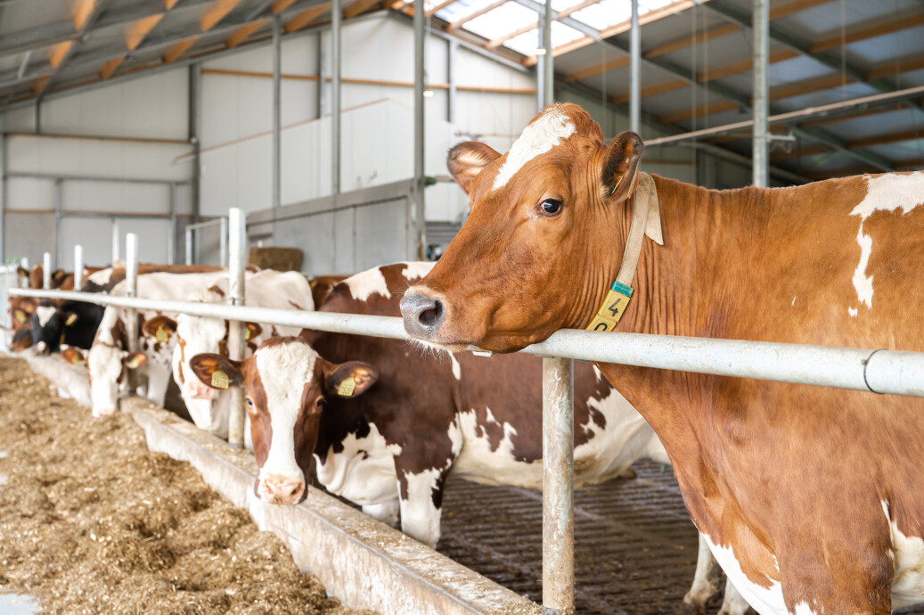 FFW-_z6f2959-bedrijfsreportage-LR-127