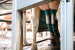 FFW-_z6f2571-bedrijfsreportage-LR-30