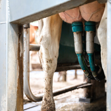 FFW-_z6f2571-bedrijfsreportage-LR-30