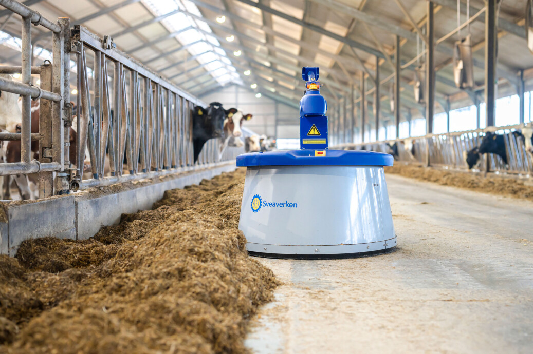 FFW-_z6f4512-Nimbo-LR-9