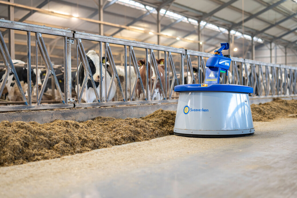 FFW-_z6f4532-Nimbo-LR-14