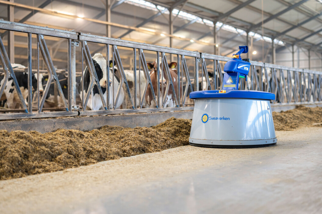 FFW-_z6f4533-Nimbo-LR-15