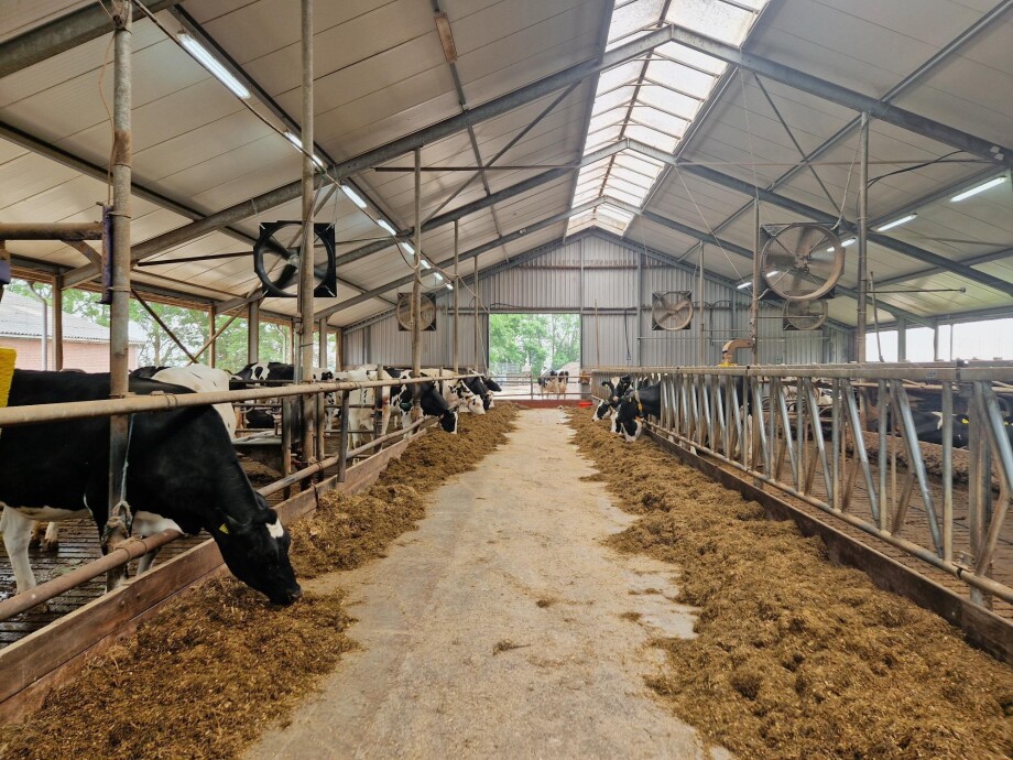 ventilatoren melkveestal - royaldeboer -2