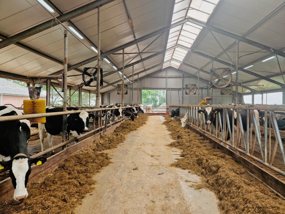 ventilatoren melkveestal - royaldeboer -4