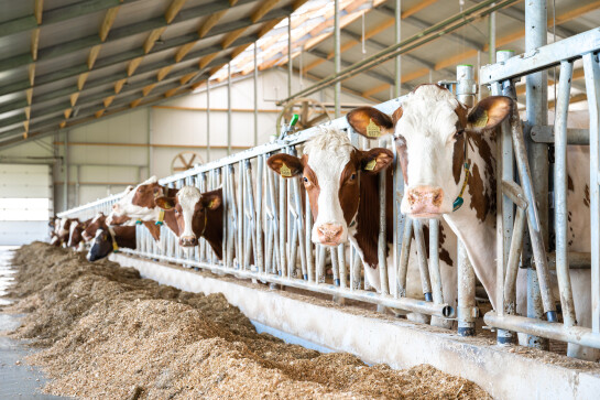 FFW-_z6f2964-bedrijfsreportage-LR-131