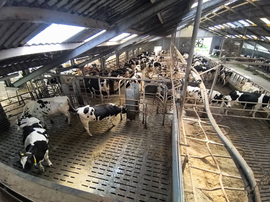 GEA DairyRobot R9500 - farmoniefarmtech 1