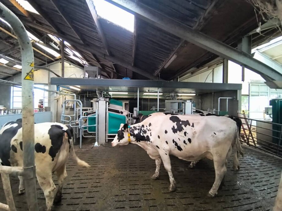 GEA DairyRobot R9500 - farmoniefarmtech 2